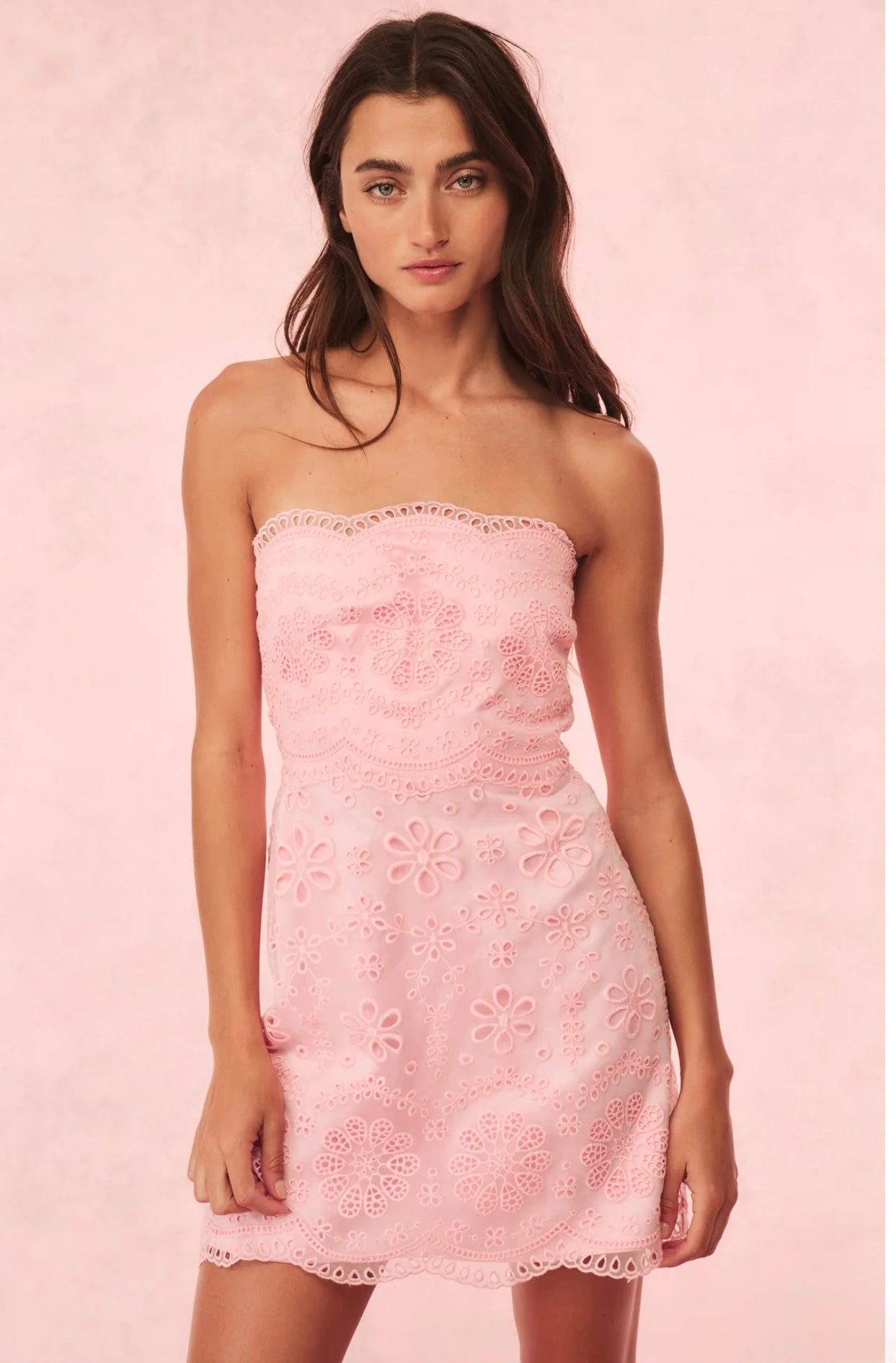 vailia organza eyelet mini dress Bare Embroidered Eyelet Mini Dress