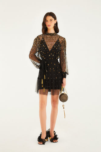 Farm Rio Embroidered Tulle Black Mini Dress