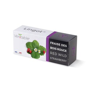 VERITABLE - Wild Red Strawberry Lingot®