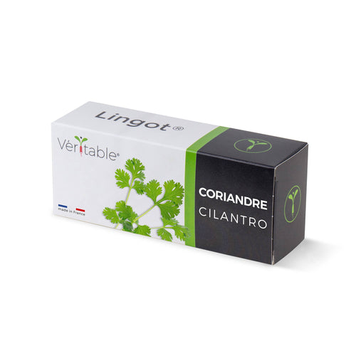 VERITABLE - Cilantro Lingot®