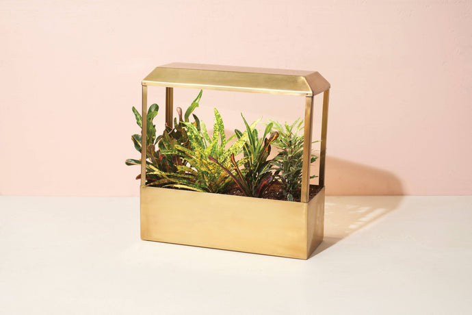Modern Sprout - Smart Growhouse - Brass