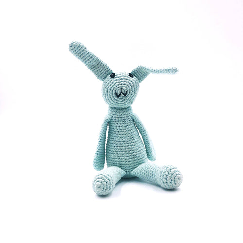 Pebble - My First Bunny