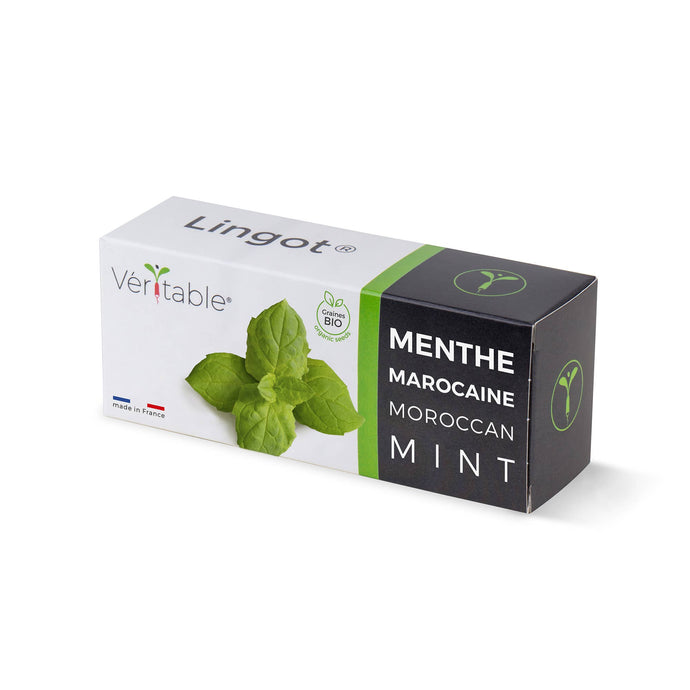 VERITABLE - Lingot® Maroccan Mint - Organic