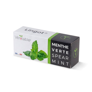 VERITABLE - Spear Mint Lingot®