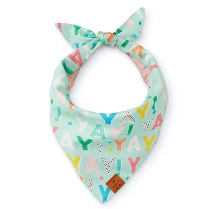 Foggy Dog Birthday Yay Aqua (Reversible) Dog Bandana