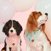 Load image into Gallery viewer, Foggy Dog Birthday Yay Aqua (Reversible) Dog Bandana