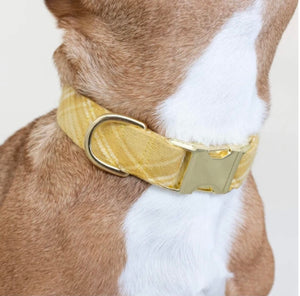 Foggy Dog Buttercup Plaid Flannel Dog Collar