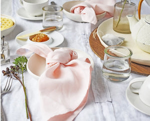 Soft Pink Linen Napkins - Celina Mancurti