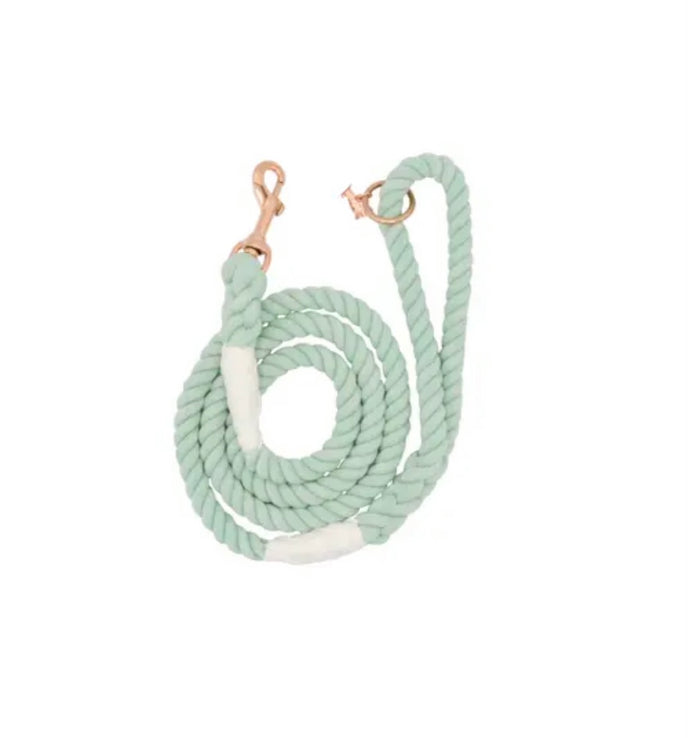Rope Leash - Mint to Be - Sassy Woof